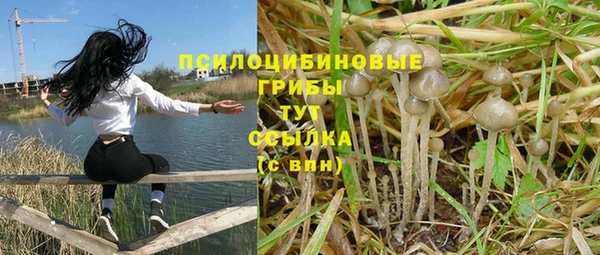 кокаин колумбия Дмитриев