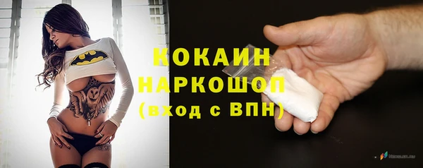 стаф Абаза