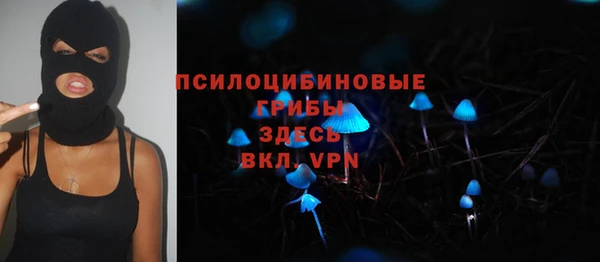 a pvp Алексин