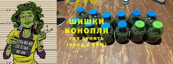 ALPHA PVP Инсар