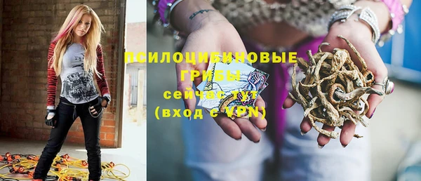 стаф Коряжма
