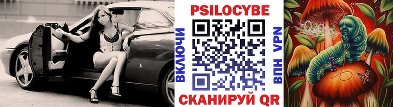 купить наркотик  Луза  Псилоцибиновые грибы мухоморы 